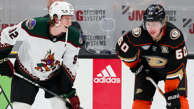 18390498_Arizona_Coyotes_v_Anaheim_Ducks_Andrew_Taylor_(Greenfly)_20231102_021247