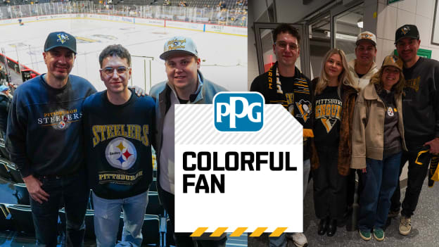 A Swedish Journey to the Penguins