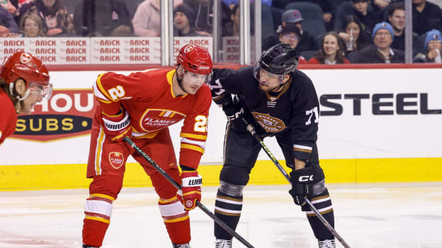 20260122_SHORESEY_FLA0228_JP