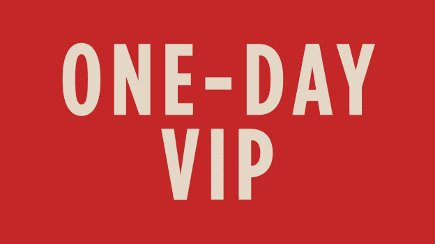 Single Day VIP