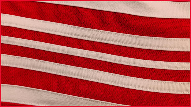 DETROIT FALCONS TRIBUTE