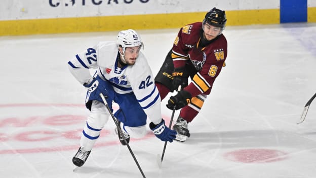 Toronto ist Calder Cup Champion