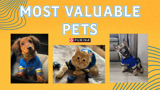 Think your pet is the MVP (Most Valuable Pet)?