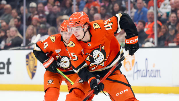 42066002_Toronto_Maple_Leafs_v_Anaheim_Ducks_Deleted_User_20260331_044518