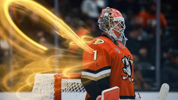 9d8c23ba-89f9-4680-ae2b-147aa2123ae0Vasquez