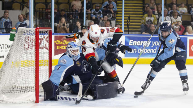 Calder Cup Playoffs Conference Finals Game Four: Ads vs. Firebirds