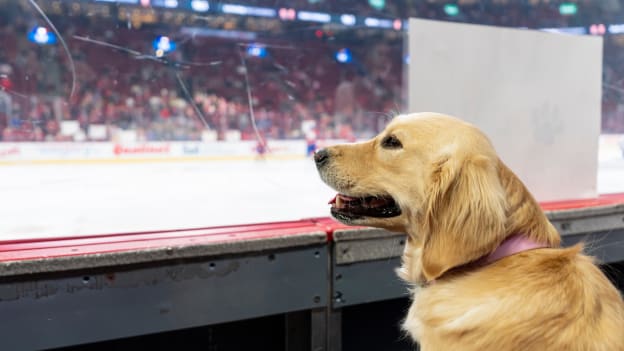 20260409-tbl-mtl-ABC00563