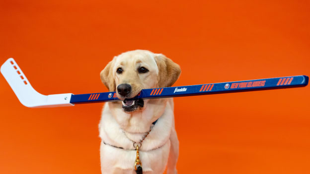 20251015_PuppyCalander_BTS_SJ-01 2