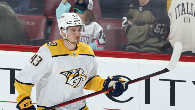Nashville Predators at Florida Panthers: March 2, 2023