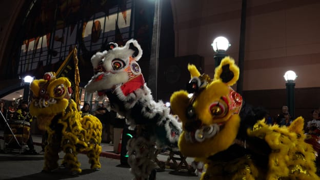 15fb6c60-76bd-4f6b-89b6-606efcdf877dDucks vs Oilers_02.25.26_N Busch_ nicolebusch_00735