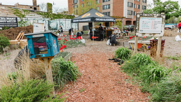 Bronzeville Community Garden Cleanup