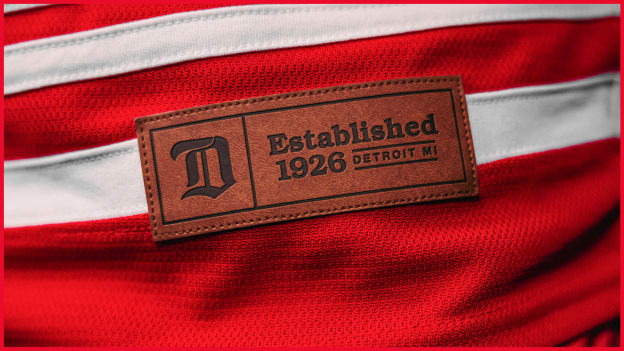 LEATHER-LIKE FEATURES