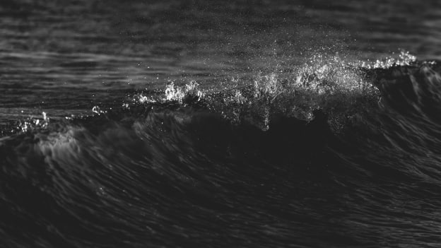 20260213_DownTheShore-065