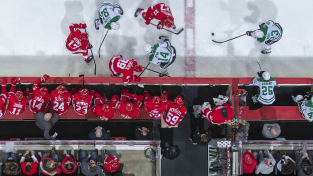 Game 38 | Dallas Stars at Detroit Red Wings