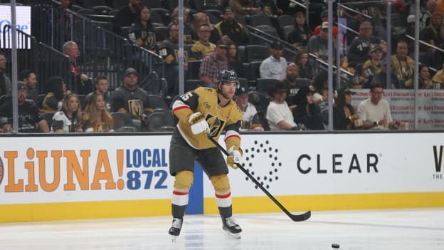 NSHvsVGK_zk_2025-04-12_0151