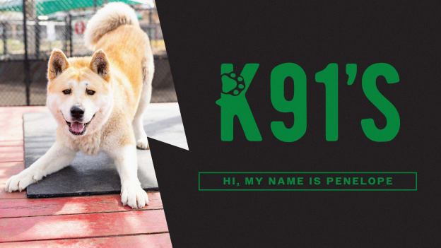 Penelope's adoption fees are covered