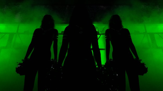 Dallas Stars Ice Girls