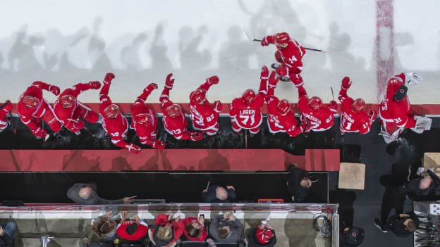 Game 38 | Dallas Stars at Detroit Red Wings