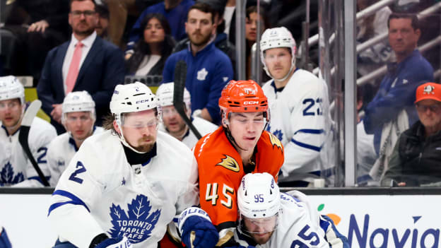 42065998_Toronto_Maple_Leafs_v_Anaheim_Ducks_Deleted_User_20260331_044514