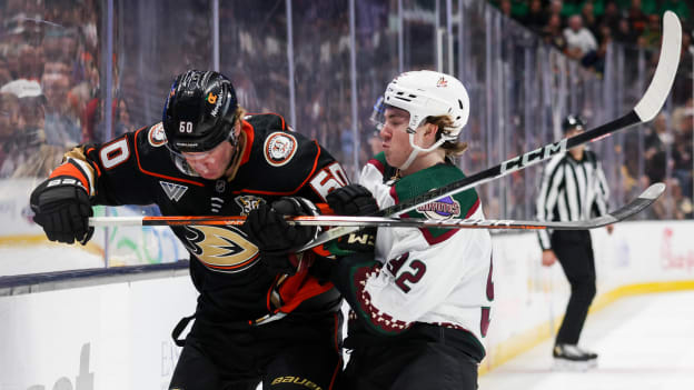 18397926_Arizona_Coyotes_v_Anaheim_Ducks_Andrew_Taylor_(Greenfly)_20231102_050006