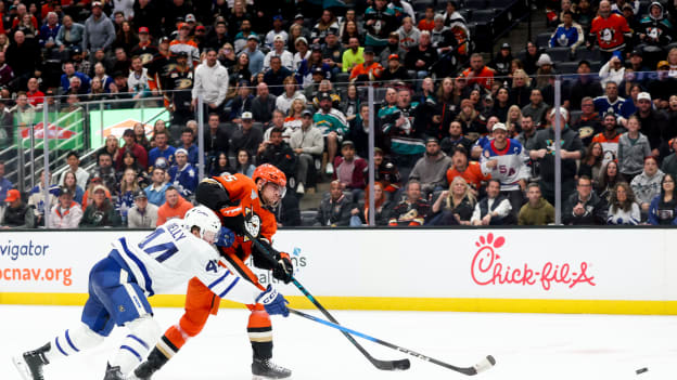 42066001_Toronto_Maple_Leafs_v_Anaheim_Ducks_Deleted_User_20260331_044515