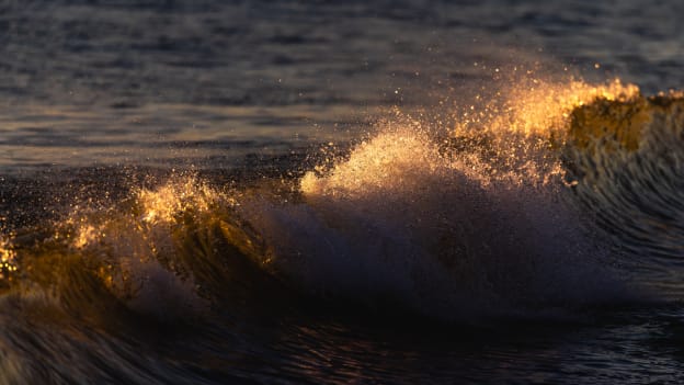 20260213_DownTheShore-066