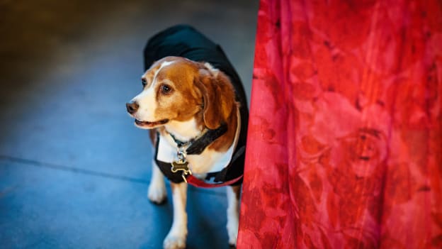 20250512_NG_Bruins_SurpriseBirthday_0322