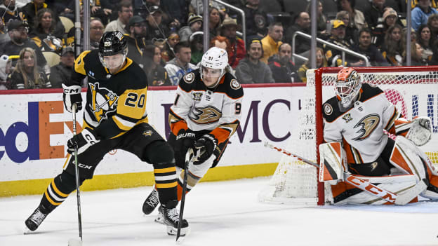 18338088_NHL__OCT_30_Ducks_at_Penguins_Andrew_Taylor_(Greenfly)_20231031_011115
