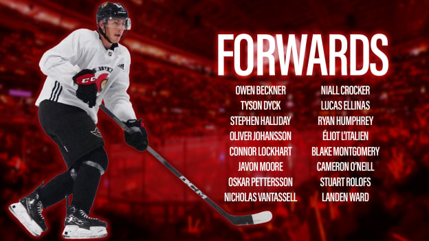 dev forwards