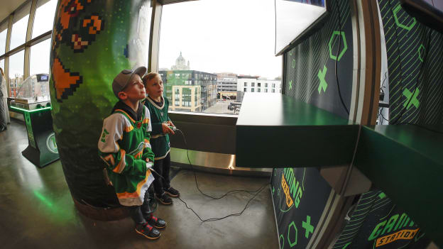 Visit the Wild Arcade