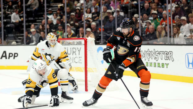 18516746_Pittsburgh_Penguins_v_Anaheim_Ducks_Andrew_Taylor_(Greenfly)_20231108_051217