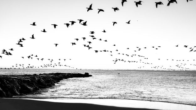 20260213_DownTheShore-020