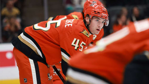 39770364_Vegas_Golden_Knights_v_Anaheim_Ducks_Deleted_User_20260202_064322