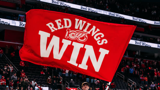 REDWINGS WIN