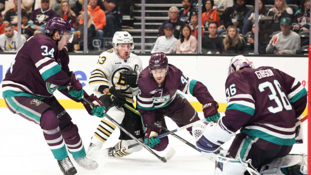 18163374_Boston_Bruins_v_Anaheim_Ducks_Andrew_Taylor_(Greenfly)_20231023_024023