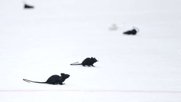 GettyImages-2216913172