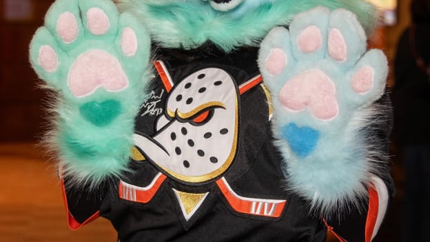 37331690_Ruben_Ibarra_20251101_022513