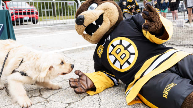 20250907_dle_bruins fan fest concord58