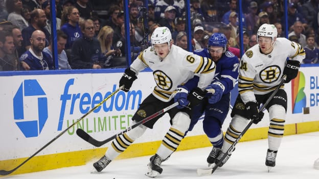 18768721_Boston_Bruins_v_Tampa_Bay_Lightning_Andrew_Taylor_(Greenfly)_20231121_034407