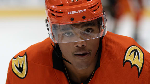 36177772_Ryan_Hadji_20250923_015349