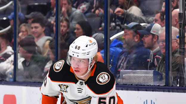 18207885_Anaheim_Ducks_v_Columbus_Blue_Jackets_Andrew_Taylor_(Greenfly)_20231025_183025