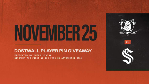 DostWall Player Pin Giveaway