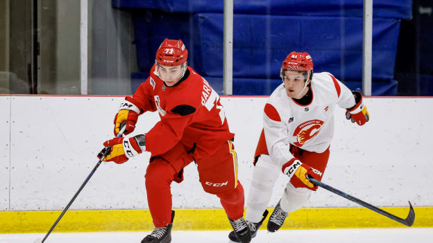 20260703_FLAMES_DEV_CAMP_FLA3010_JP