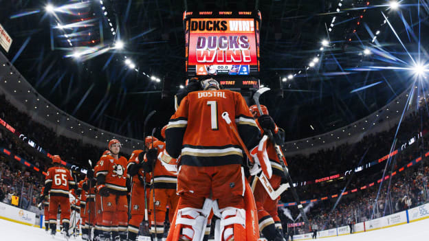 Blesková reakce. Anaheim i Dostál se rehabilitovali