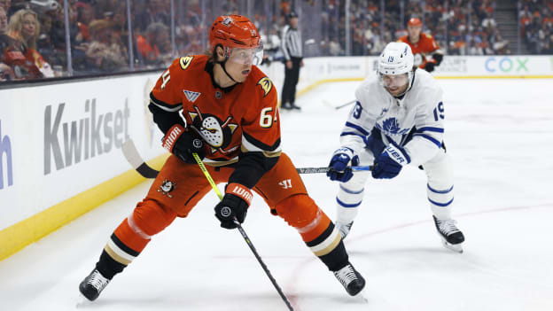 42063880_Toronto_Maple_Leafs_v_Anaheim_Ducks_Deleted_User_20260331_040644