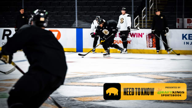 Need to Know: Bruins vs. Penguins