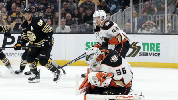 18240701_NHL__OCT_26_Ducks_at_Bruins_Andrew_Taylor_(Greenfly)_20231027_001442