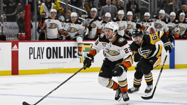 18343500_NHL__OCT_30_Ducks_at_Penguins_Andrew_Taylor_(Greenfly)_20231031_022423