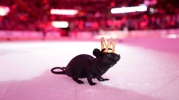 GettyImages-2219410609