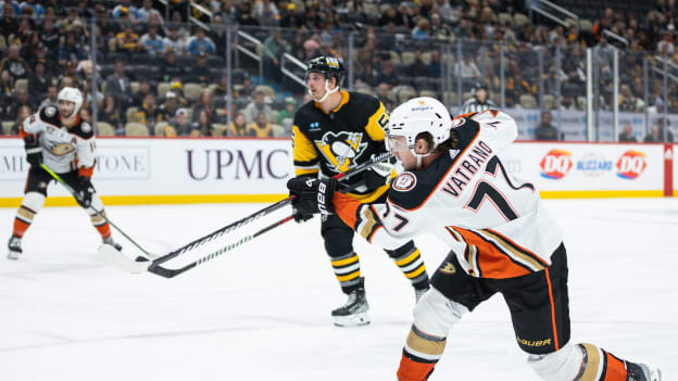 18337654_Anaheim_Ducks_v_Pittsburgh_Penguins_Andrew_Taylor_(Greenfly)_20231031_010532